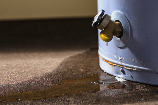 Best 24/7 water damage repair  in Oakes, ND