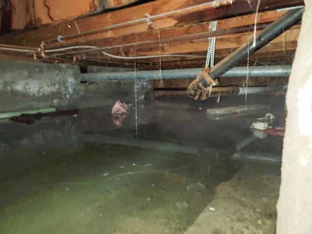 Local water damage restoration in Oakes, ND