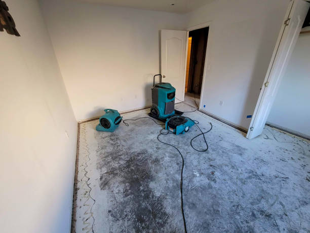 Best Carpet water damage restoration  in Oakes, ND