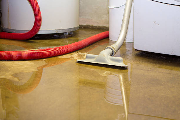 Best Basement water damage restoration  in Oakes, ND