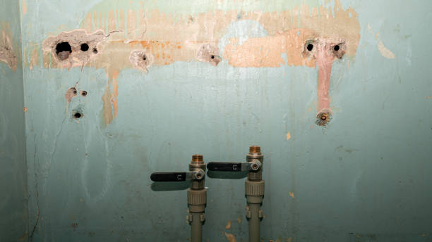 Best Flooded house restoration  in Oakes, ND
