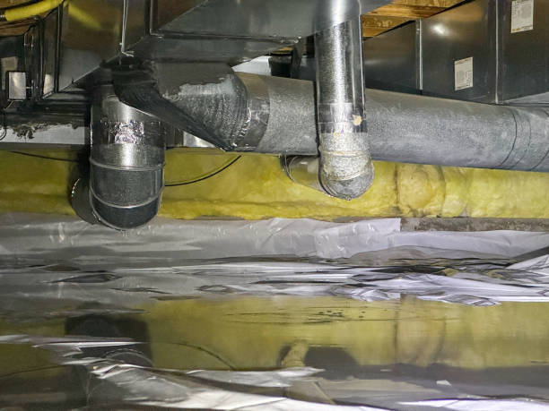 Best Basement water damage restoration  in Oakes, ND