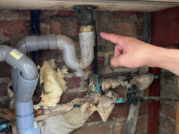 Best Local water damage restoration  in Oakes, ND